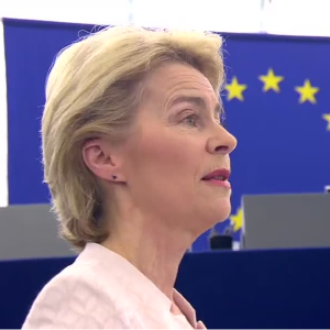 Declaraes de Ursula von der Leyen e Josep Borrell sobre a situao no Iraque, no Iro, no Mdio Oriente em geral e na Lbia